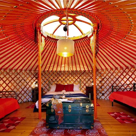 Yurte In Langa 豪华帐篷 *