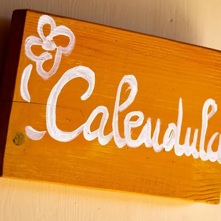 豪华帐篷 Yurte In Langa Bosia