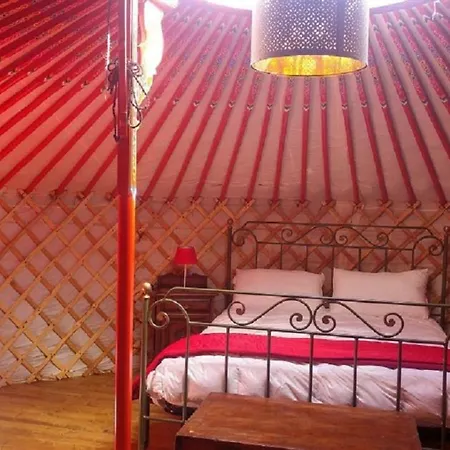 Yurte In Langa 豪华帐篷 Bosia